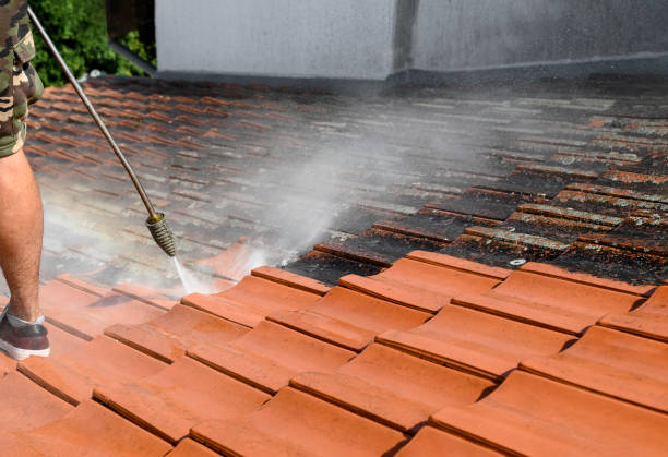 Best Local Pressure Washing Services  in West Grove, PA